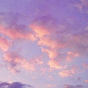 Meet your Posher, Abigail